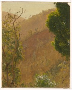 Desenho, Paisagem, julho de 1865 de Frederic Edwin Church