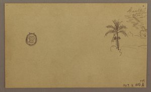 Desenho, Paisagem; Verso: Árvore na paisagem, Céu, maio-agosto de 1865 de Frederic Edwin Church