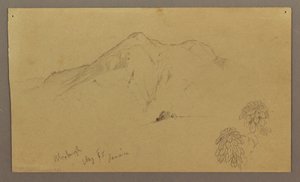 Desenho, Paisagem, plantas, Bloxburgh, agosto de 1865 de Frederic Edwin Church