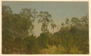 Desenho, Paisagens, julho de 1865 de Frederic Edwin Church
