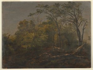 Desenho, Bosque do Maine, 1845-55 de Frederic Edwin Church