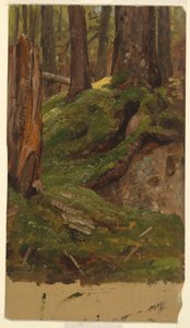Desenho, Maine  bosque, 1855-65 de Frederic Edwin Church