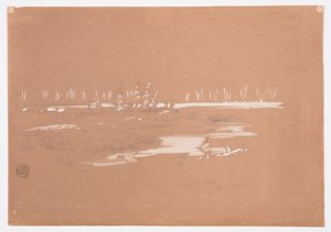 Desenho, Paisagem pantanosa perto de Millinocket, 20 de setembro de 1878 de Frederic Edwin Church