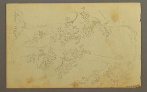 Desenho, Moinho rodeado de árvores, 1845 de Frederic Edwin Church