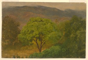Desenho, Paisagem de montanha, agosto de 1865 de Frederic Edwin Church