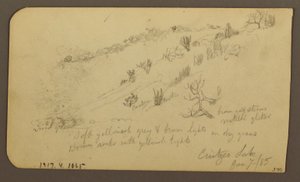 Desenho, Montanha, Zapotlan; Verso: Encosta arborizada, Lago Cuitzeo, janeiro de 1885 de Frederic Edwin Church