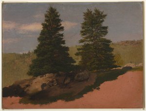 Desenho, Paisagem de Nova Inglaterra (Dois pinheiros), 1850 de Frederic Edwin Church