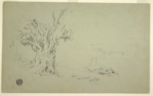 Desenho, Oliveira, Monte das Oliveiras, abril de 1868 de Frederic Edwin Church