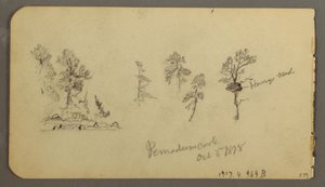Desenho, Estudos de pinho, 1878 de Frederic Edwin Church