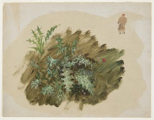 Desenho, Estudos de plantas, 1865 de Frederic Edwin Church