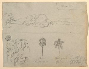 Desenho, Esboços da Colômbia:  Margem de um rio ou baía, e árvores, 1853 de Frederic Edwin Church