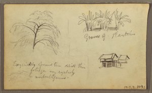 Desenho, esquina de rua em Guaquil, Equador; Verso: Esboços botânicos, casa, Equador ou Colômbia, 1857 de Frederic Edwin Church