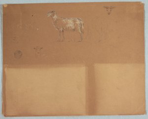 Desenho, Estudos de ovelhas, Equador ou Colômbia, 1853 de Frederic Edwin Church