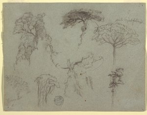 Desenho, Estudos de árvores, Equador, 1853 de Frederic Edwin Church