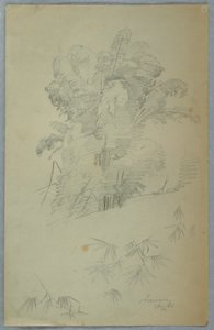 Desenho, Estudos de árvores e ramos, Jamaica, agosto de 1865 de Frederic Edwin Church