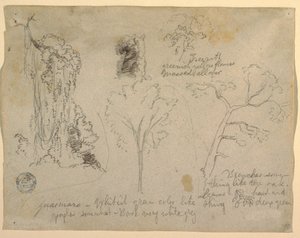 Desenho, Estudos de árvores e plantas vistos do Rio Magdalena, Colômbia, 1853 de Frederic Edwin Church