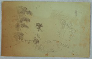 Desenho, Estudos de árvores com pormenores de bambu e um pequeno pormenor de um homem a carregar bananas na cabeça, Bellevue, Jamaica, agosto de 1865 de Frederic Edwin Church