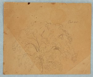 Desenho, Árvore; Verso: Vista de uma igreja, duas mulheres inglesas de 1636, estudo de um cavalo, outubro de 1845 de Frederic Edwin Church