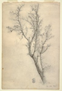 Desenho, Árvore com muitos ramos, julho de 1844 de Frederic Edwin Church