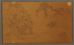 Desenho, Árvores, 1857 de Frederic Edwin Church
