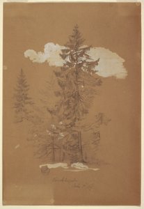 Desenho, Árvores, Berchtesgaden, Baviera, 3 de julho de 1868 de Frederic Edwin Church