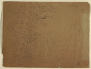 Desenho, Árvores, Ilha Grand Manan, Canadá, 1851 de Frederic Edwin Church