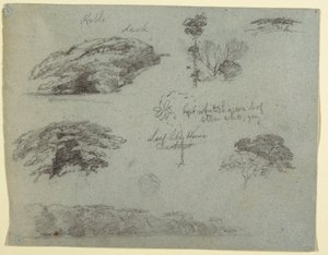 Desenho, Árvores, copas das árvores e uma margem arborizada, Saddleback, Maine, 1853 de Frederic Edwin Church