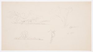 Desenho, Árvores, uma margem com arbustos e árvores, setembro de 1876 de Frederic Edwin Church
