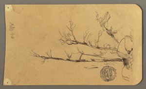 Desenho, Árvores, rochedos, 1878 de Frederic Edwin Church