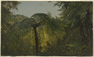 Desenho, Paisagem tropical, junho ou julho de 1865 de Frederic Edwin Church