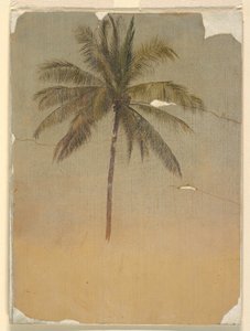 Desenho, Tronco e copa de uma palmeira, 1865 de Frederic Edwin Church
