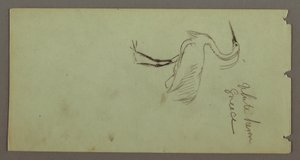 Desenho, Garça branca, possivelmente 1869 de Frederic Edwin Church
