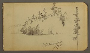 Desenho, Costa arborizada, estudo de árvores, 1878 de Frederic Edwin Church