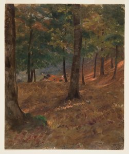 Desenho, Cena de um bosque, 1870-80 de Frederic Edwin Church
