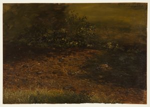 Desenho, riacho da floresta em Catskills, setembro de 1848 de Frederic Edwin Church