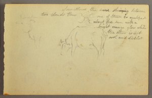 Desenho, raios entre nuvens, touros, possivelmente 1877 de Frederic Edwin Church