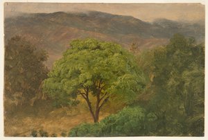 Genip Tree nas montanhas, Jamaica de Frederic Edwin Church