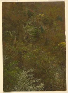 Encosta com árvores, Jamaica de Frederic Edwin Church