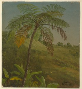 Palmeira, Jamaica de Frederic Edwin Church