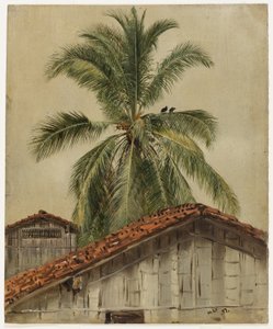 Palmeiras e telhados de casas, Equador de Frederic Edwin Church