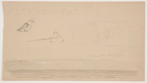 Esboços de Labrador de neve em terra, homem no barco e pássaro de Frederic Edwin Church