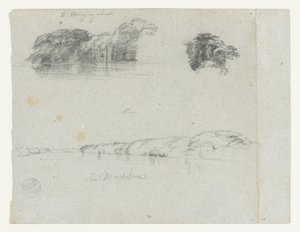 Esboços de árvores, videiras e uma margem do Rio Magdalena, Colômbia de Frederic Edwin Church