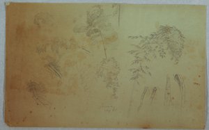 Estudos de copas de árvores e bambu, Jamaica de Frederic Edwin Church