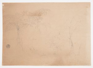 Estudo de duas árvores e três plantas, perto de Jorje, Equador de Frederic Edwin Church