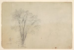 Árvores de Frederic Edwin Church