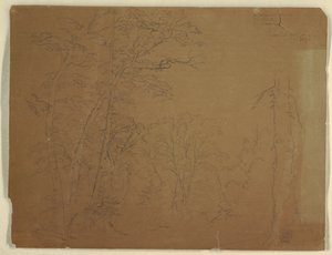 Árvores, Grand Manan Island, Canadá de Frederic Edwin Church