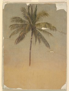 Tronco e topo de uma palmeira de Frederic Edwin Church