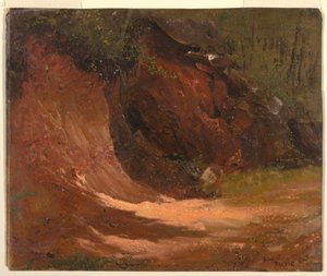 Woodland Bank, Jamaica de Frederic Edwin Church