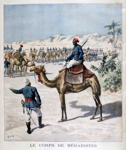 Corpo Meharist, 1894