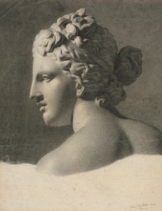 Estudo de um molde de gesso (a la bosse) de Frederic Millet